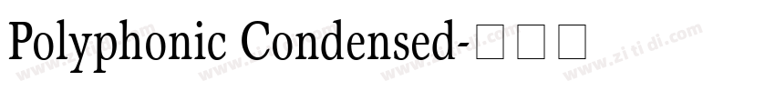 Polyphonic Condensed字体转换